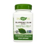  Nature's Way Slippery Elm Bark - Viên Uống Hỗ Trợ Cải Thiện Hệ Tiêu Hoá, Hệ Hô Hấp & Đường Tiết Niệu ( Hộp 100 viên) 