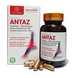  Antaz - Viên Uống Hỗ Trợ Giảm Sưng Viêm Do Gout 
