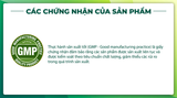  Condition Eye Berry hỗ trợ tăng cường thị lực hộp 60 viên 