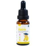  Dung dịch Vitamin D3+ DHA Hatro Pharvina tăng sức đề kháng, giảm nguy cơ còi xương (20ml) 