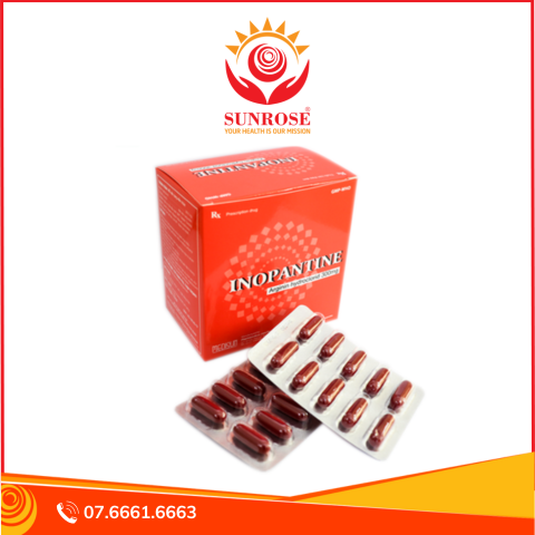  Thuốc Inopantine 300mg điều trị rối loạn chức năng gan, suy giảm chức năng gan (10 vỉ x 10 viên) 