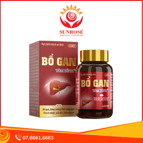  Thực phẩm bảo vệ sức khỏe Bổ Gan Tâm Bình (60 viên) 