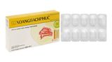  Xoang Bách Phục hỗ trợ giảm triệu chứng viêm xoang hộp 20 viên 