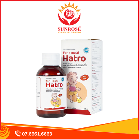  Siro Fer + Multi Hatro bổ sung sắt và Vitamin nhóm B cho cơ thể (120ml) 