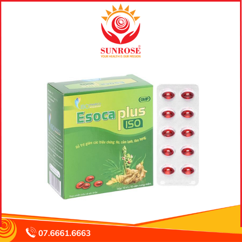  Esoca Plus Iso hỗ trợ giảm triệu chứng cảm lạnh, khản tiếng hộp 100 viên 