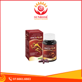  Ancoplus - Viên Uống Hỗ Trợ Giảm Đau & Phục Hồi Xương Khớp Thoái Hoá 
