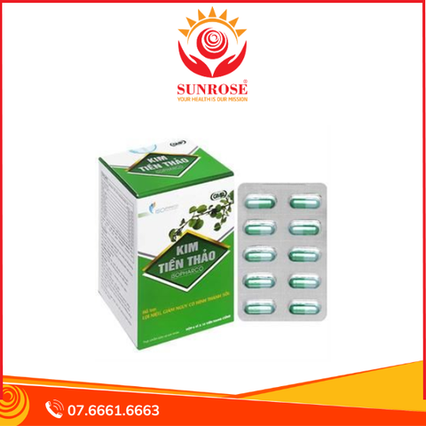  IsoPharco Kim Tiền Thảo giảm nguy cơ hình thành sỏi thận hộp 60 viên 