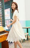  Váy ren dự tiệc City Vogue - L1010 set 