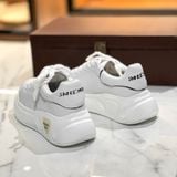  Giày sneaker đế độn 803 
