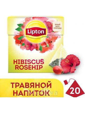 Trà Đen Lipton Vị Dâm Bụt Tầm Xuân Của Nga