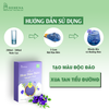 Bột Hoa Đậu Biếc | Hộp 50G