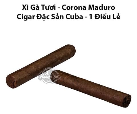 Cigar Tươi Size Corona Maduro - Xì Gà Đặc Sản Cuba