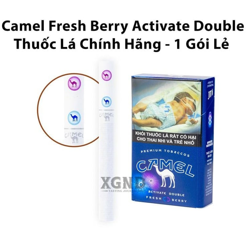 Thuốc Lá Camel Fresh Berry - Camel Lạc Đà Hai Bấm