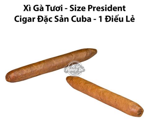 Cigar Tươi Size Presidente - Xì Gà Đặc Sản Cuba