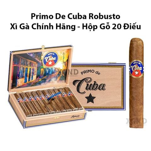 Cigar Primo De Cuba Robusto - Xì Gà Chính Hãng