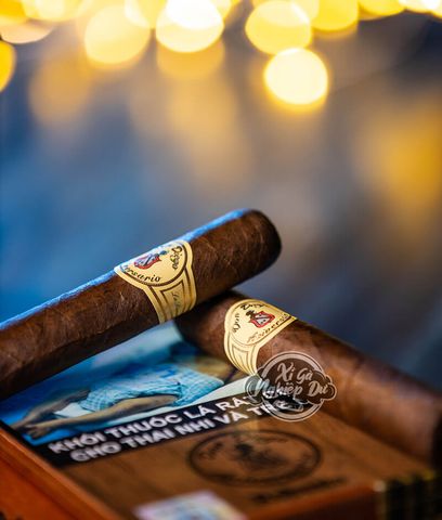 Cigar Don Diego Aniversario Robusto - Xì Gà Dominica Chính Hãng