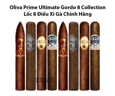 Cigar Oliva Prime Ultimate Gordo 8 Collection - Lốc 8 Điếu Xì Gà Chính Hãng