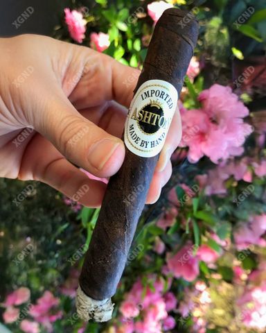 Cigar Ashton Aged Maduro No 40 - Xì Gà Chính Hãng