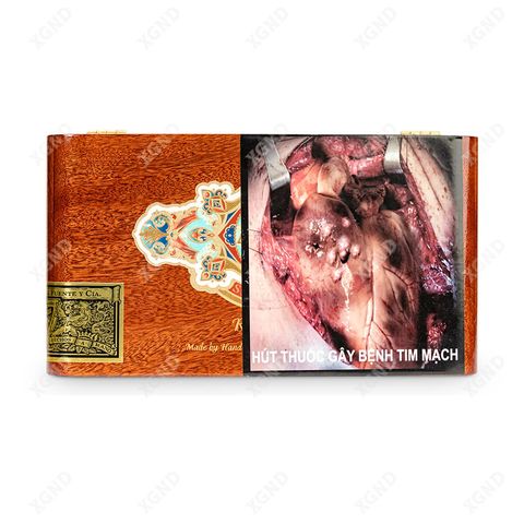 Cigar Ashton Symmetry Robusto - Xì Gà Chính Hãng