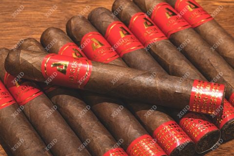 Cigar August 52 - Xì Gà Honduras Chính Hãng