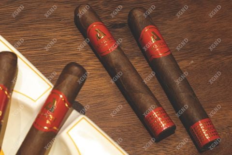 Cigar August 52 - Xì Gà Honduras Chính Hãng