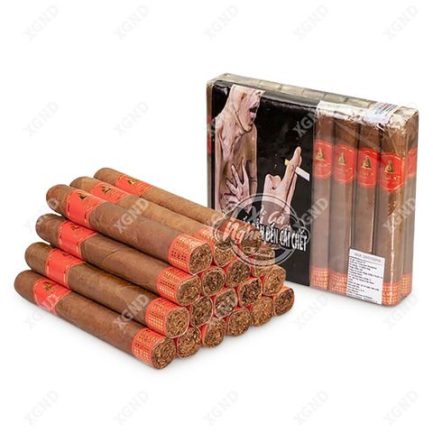 Cigar August 56 Honduras - Xì Gà Chính Hãng