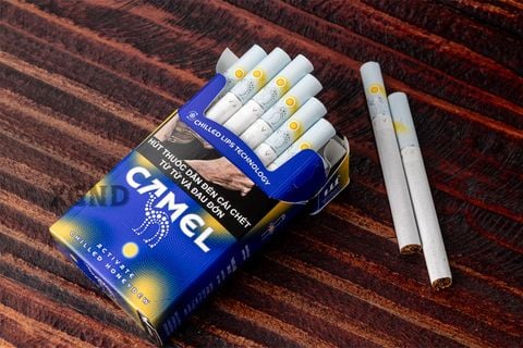 Thuốc Lá Camel Chilled Honeydew - Thuốc Lá Bấm Vị Dưa Lưới