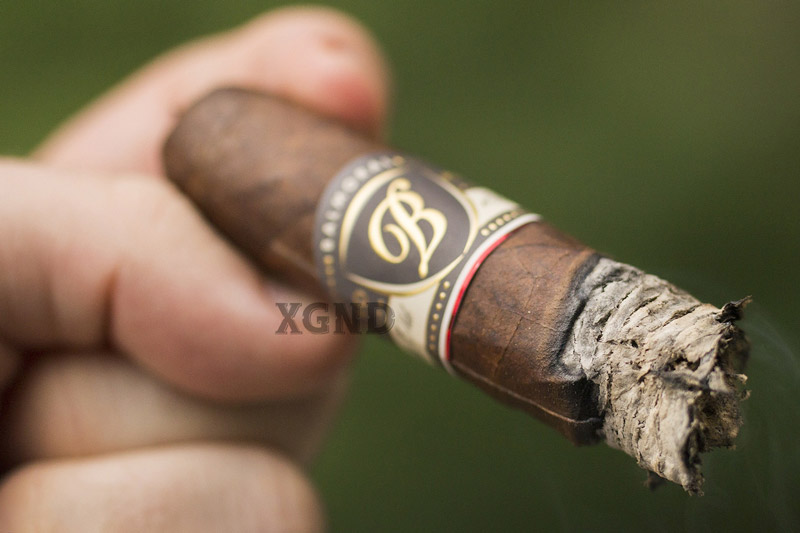 Cigar Balmoral Anejo XO Rothschild Masivo - Xì Gà Dominica Chính Hãng