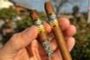 xi ga cohiba wide short hcm