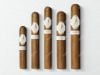 Cigar Davidoff Grand Cru No 5 - Xì Gà Chính Hãng
