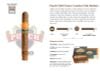 Cigar Punch 1840 London Club Maduro - Xì Gà Chính Hãng