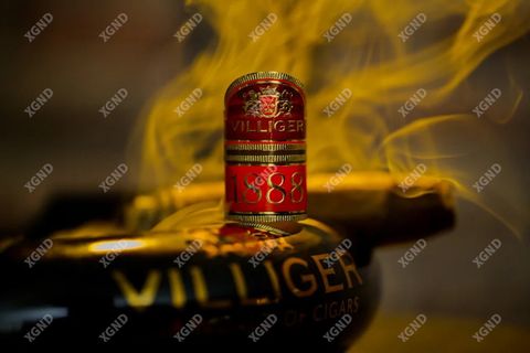 Cigar Villiger 1888 Torpedo - Xì Gà Dominica Chính Hãng