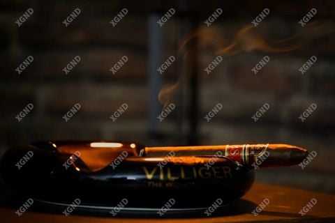 Cigar Villiger 1888 Torpedo - Xì Gà Dominica Chính Hãng