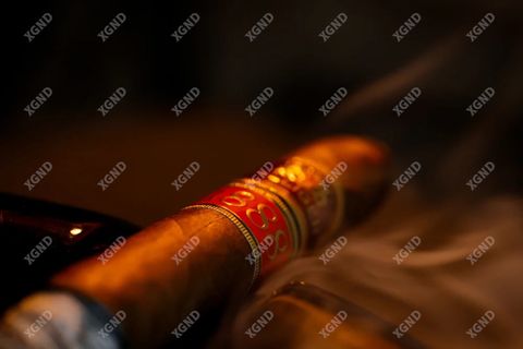 Cigar Villiger 1888 Torpedo - Xì Gà Dominica Chính Hãng