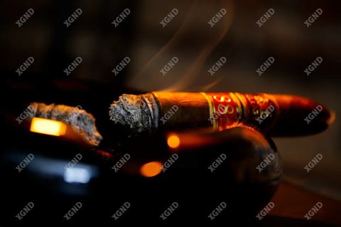 Cigar Villiger 1888 Torpedo - Xì Gà Dominica Chính Hãng