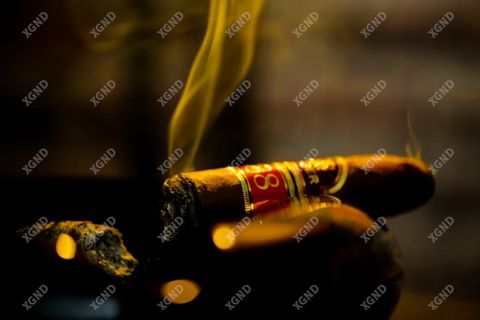Cigar Villiger 1888 Torpedo - Xì Gà Dominica Chính Hãng