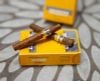 xì gà Cohiba Short hcm