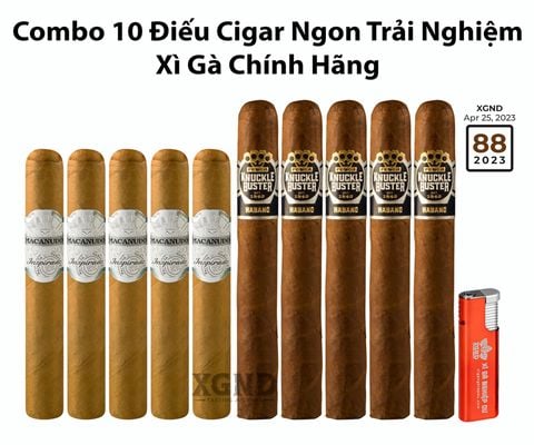 Combo 10 Điếu Cigar Ngon Trải Nghiệm Chính Hãng