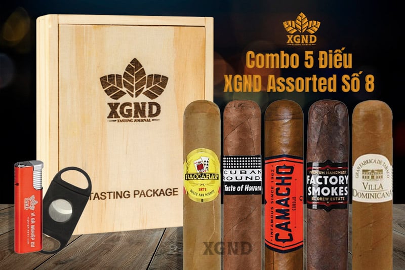 Combo 5 Điếu XGND Assorted Số 8 Chính Hãng