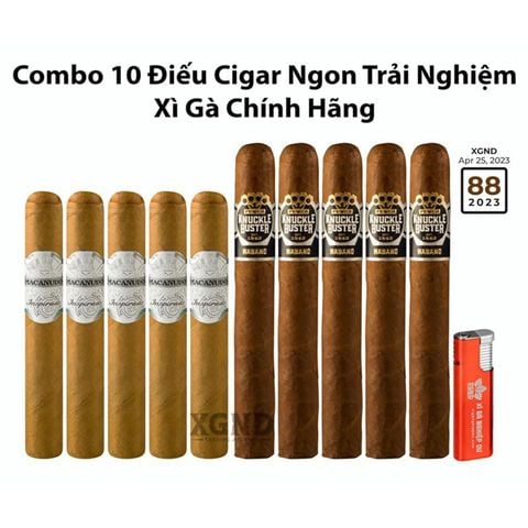 Combo 10 Điếu Cigar Ngon Trải Nghiệm Chính Hãng