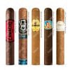 Combo 5 Điếu XGND Assorted Số 8 Chính Hãng