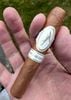 Cigar Davidoff Grand Cru No 5 - Xì Gà Chính Hãng