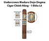 xi ga cao cap hcm