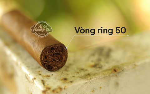 Cigar Don Diego Aniversario Robusto - Xì Gà Dominica Chính Hãng