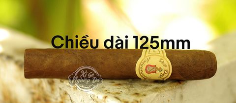 Cigar Don Diego Aniversario Robusto - Xì Gà Dominica Chính Hãng