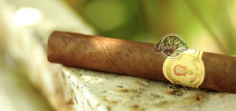 Cigar Don Diego Aniversario Robusto - Xì Gà Dominica Chính Hãng