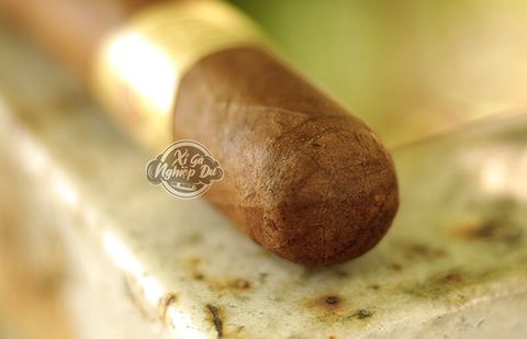 Cigar Don Diego Aniversario Robusto - Xì Gà Dominica Chính Hãng
