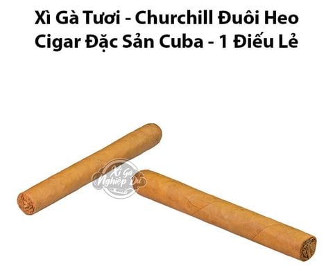 Cigar Tươi Size Churchill Đuôi Heo - Xì Gà Đặc Sản Cuba
