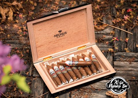 Cigar Neonlis Gordito 7 - Xì gà Việt Nam Chính hãng