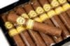 H Upmann 1844 Anejados Robusto